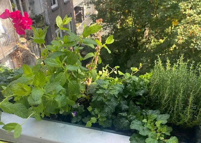 Cozy In Oldwest With Private Bathroom * Ámsterdam