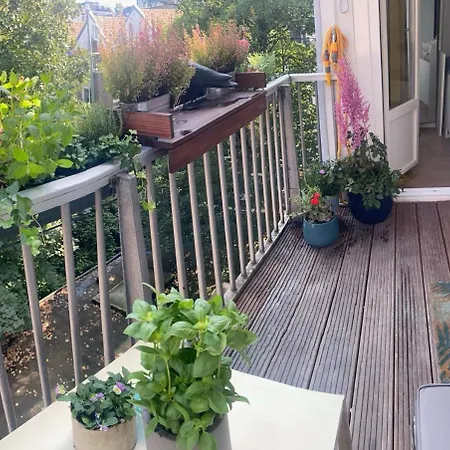 Cozy In Oldwest With Private Bathroom Guest house