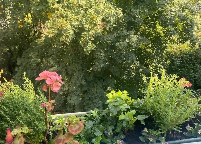 Cozy In Oldwest With Private Bathroom Guest house