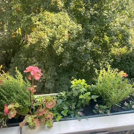 Cozy In Oldwest With Private Bathroom Guest house